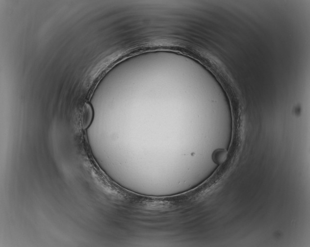 X0000116660833200912291635