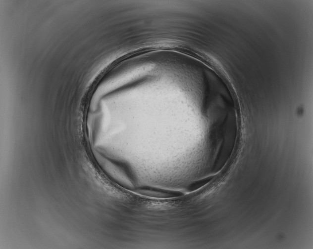 X0000116660835200912291635