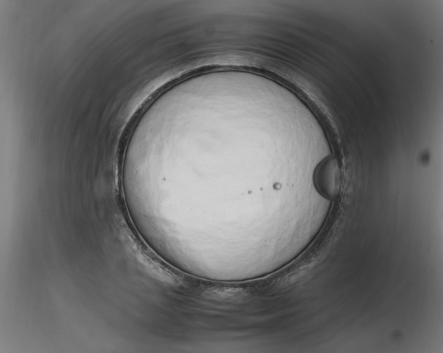 X0000116660837200912291635