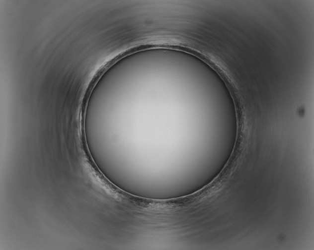 X0000116660840200912291636