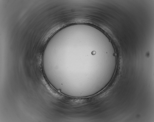 X0000116660841200912291636