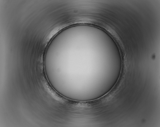 X0000116660842200912291636