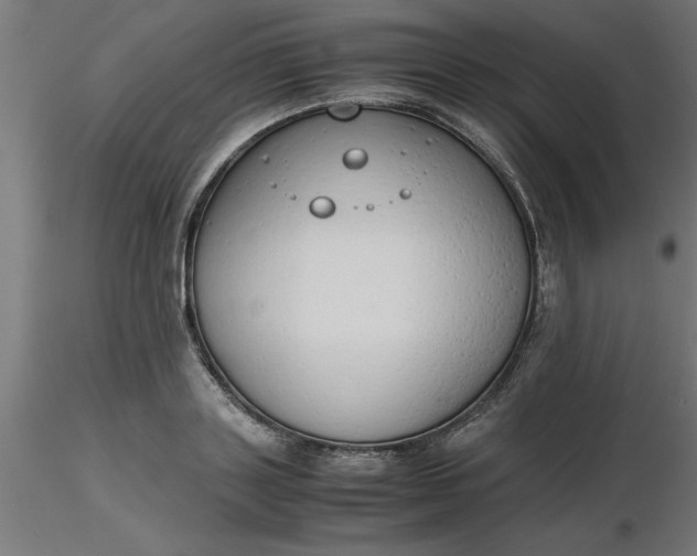 X0000116660843200912291636