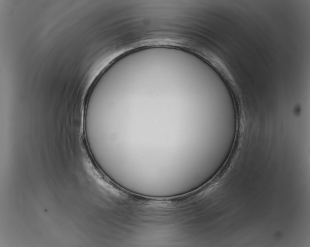 X0000116660844200912291636