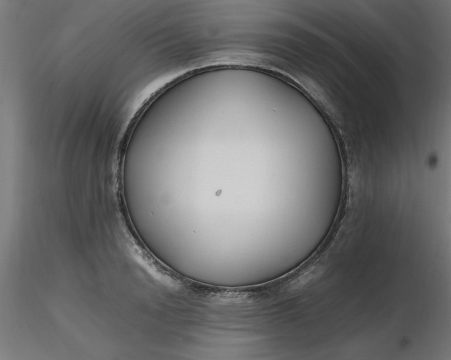 X0000116660846200912291636