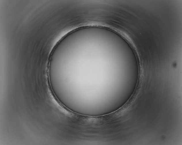 X0000116660847200912291636