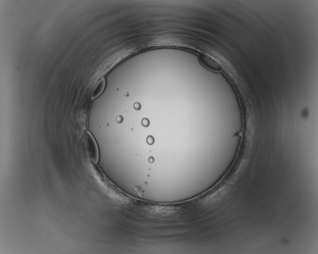 X0000116660849200912291636