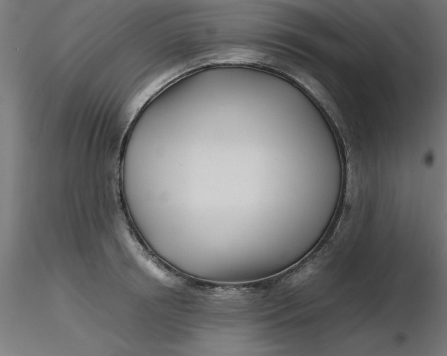 X0000116660850200912291636