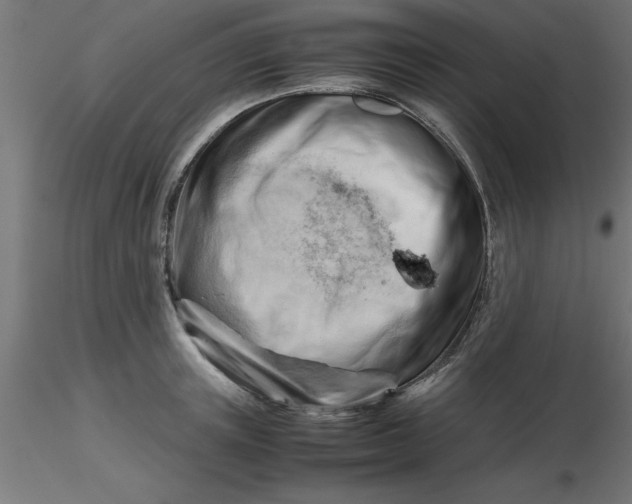 X0000116660851200912291636