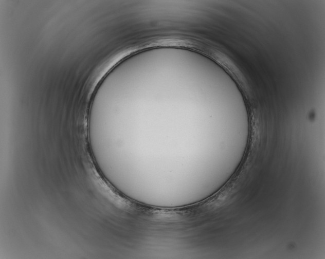 X0000116660852200912291636