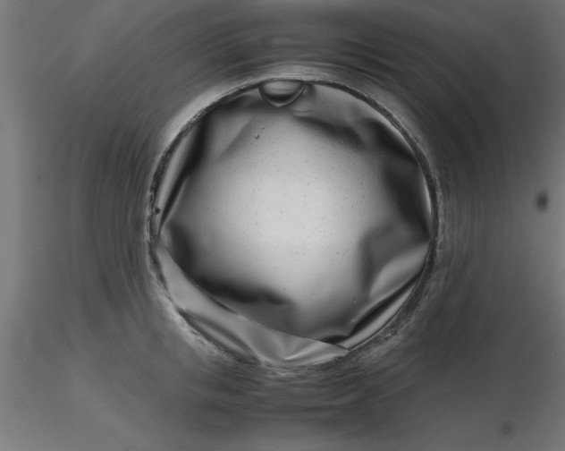 X0000116660853200912291636