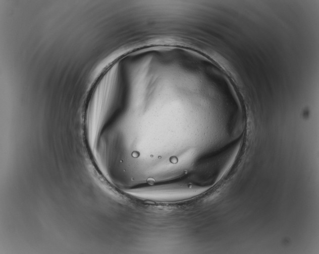 X0000116660854200912291636