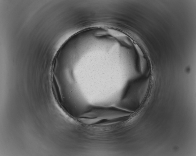 X0000116660855200912291636