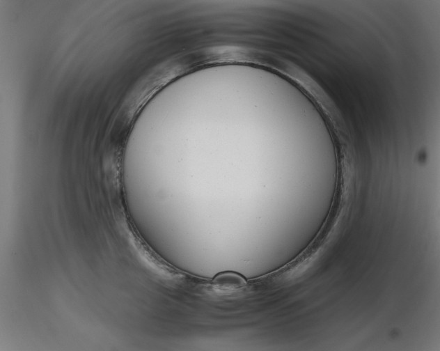 X0000116660857200912291636