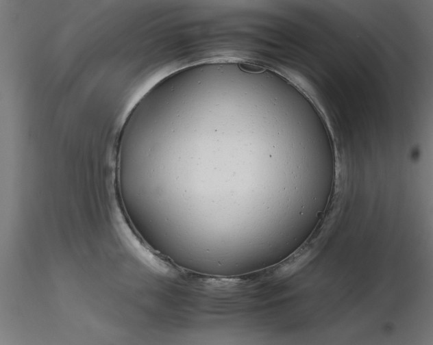 X0000116660859200912291636