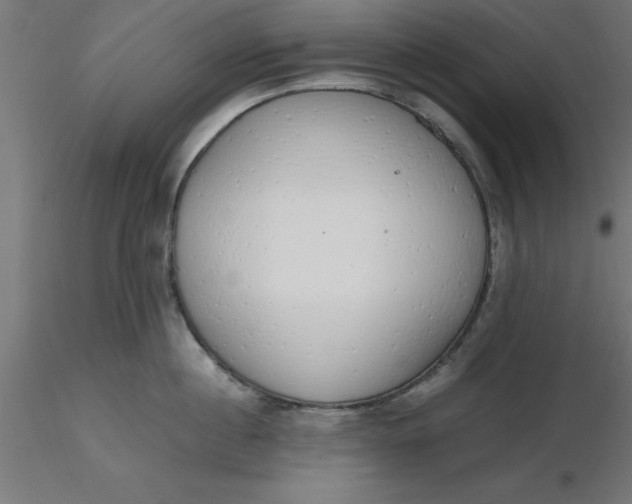 X0000116660860200912291636