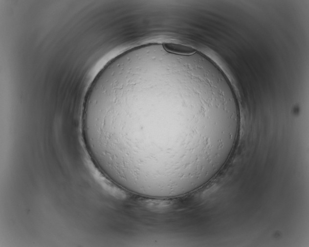 X0000116660861200912291636