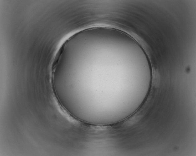 X0000116660862200912291636