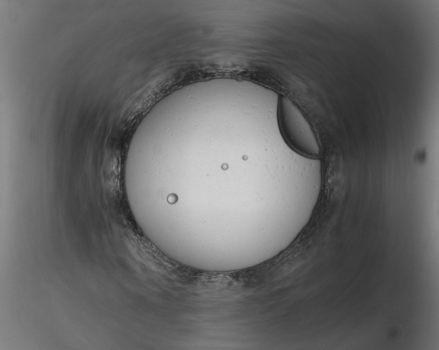 X0000116660866200912291635