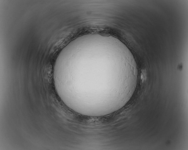 X0000116660867200912291635