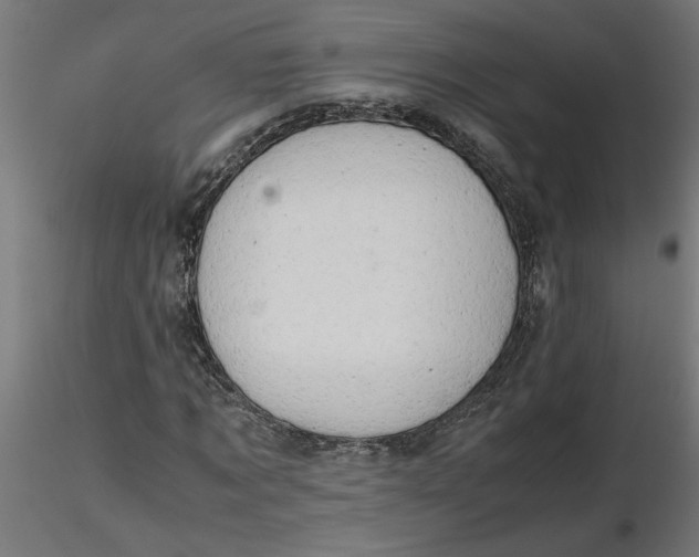 X0000116660869200912291635