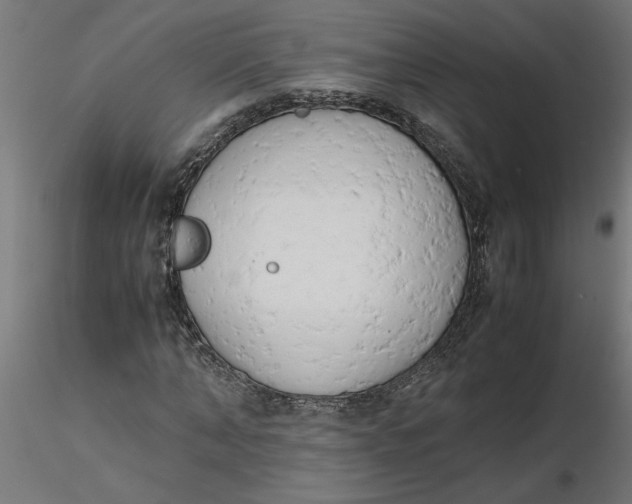 X0000116660870200912291635