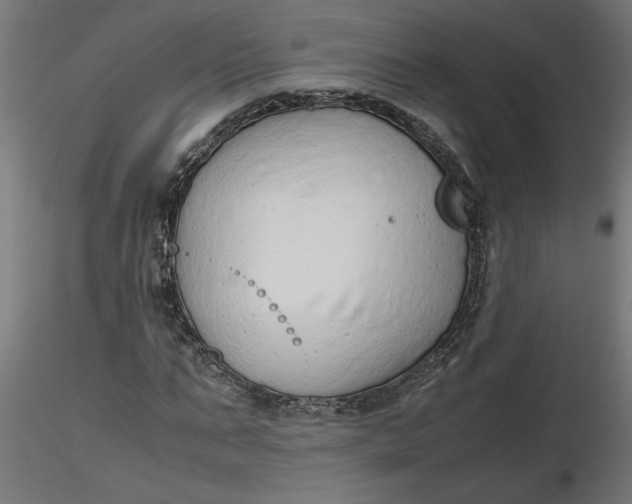 X0000116660871200912291635