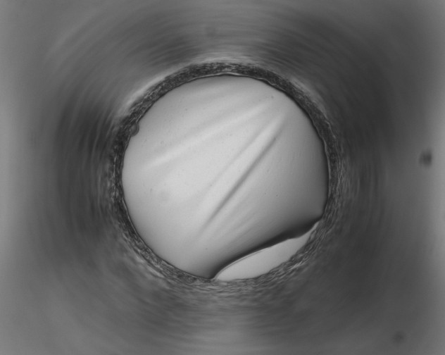 X0000116660872200912291635