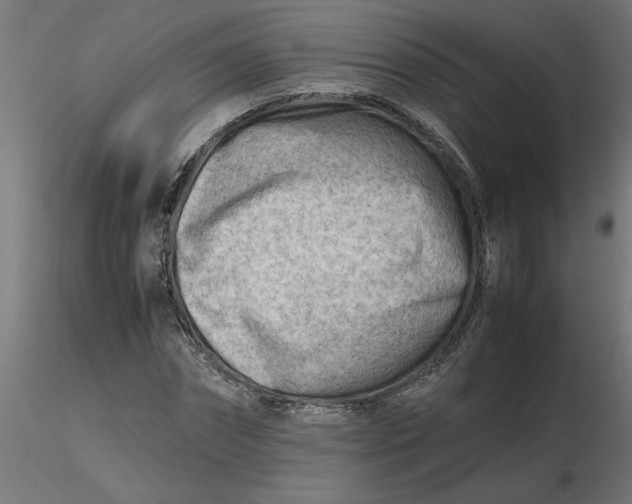 X0000116660874200912291635