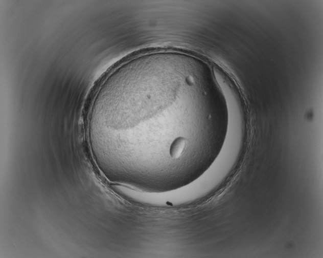 X0000116660876200912291635