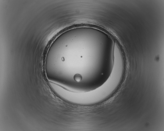 X0000116660877200912291635