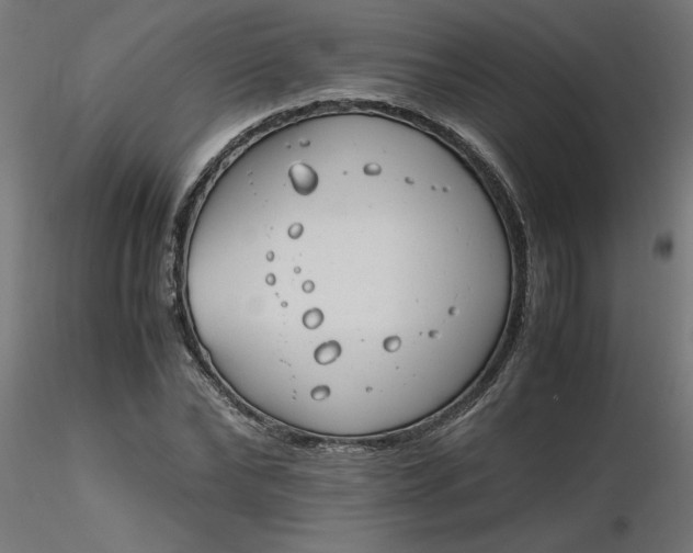 X0000116660878200912291635