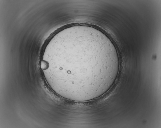 X0000116660880200912291635