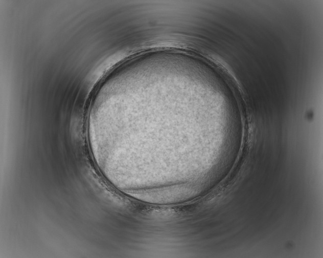 X0000116660882200912291635