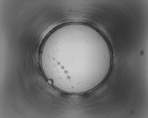 X0000116660883200912291635