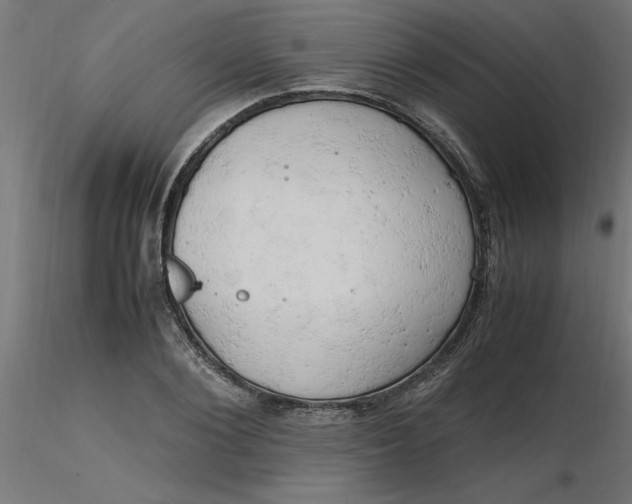 X0000116660884200912291635