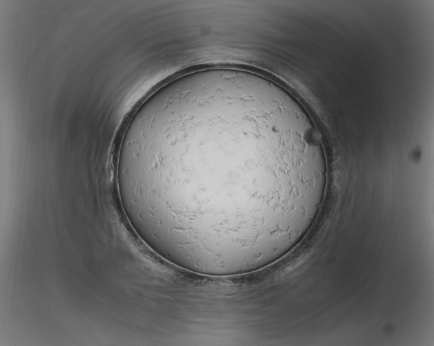 X0000116660885200912291635