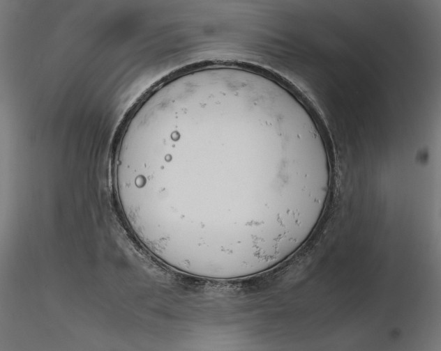 X0000116660887200912291635