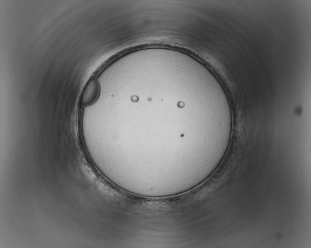 X0000116660888200912291635