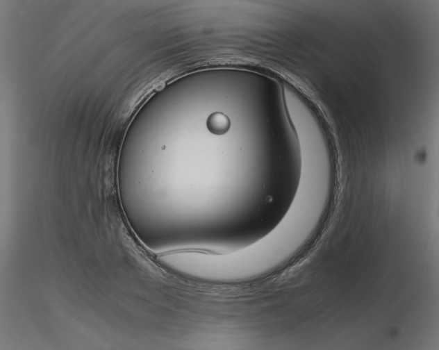 X0000116660889200912291635