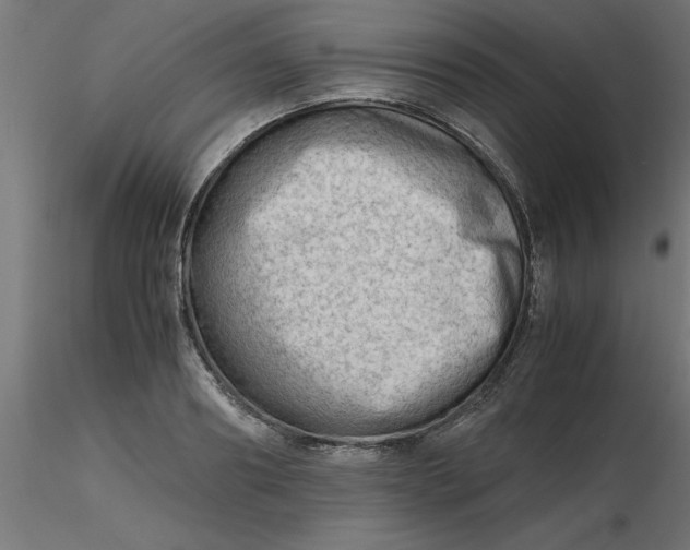 X0000116660890200912291635