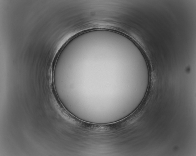 X0000116660891200912291635