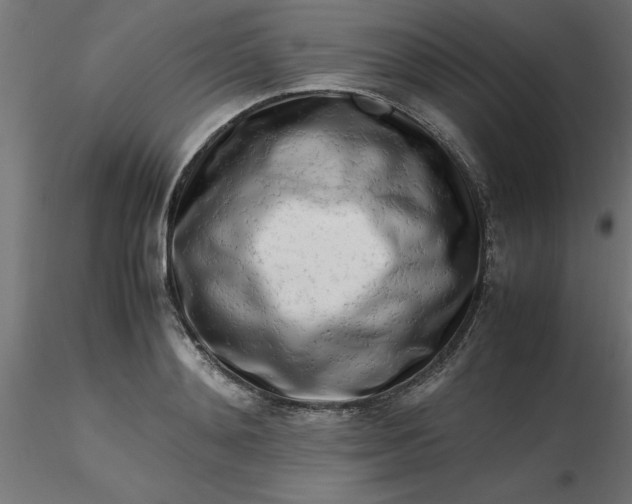 X0000116660892200912291635