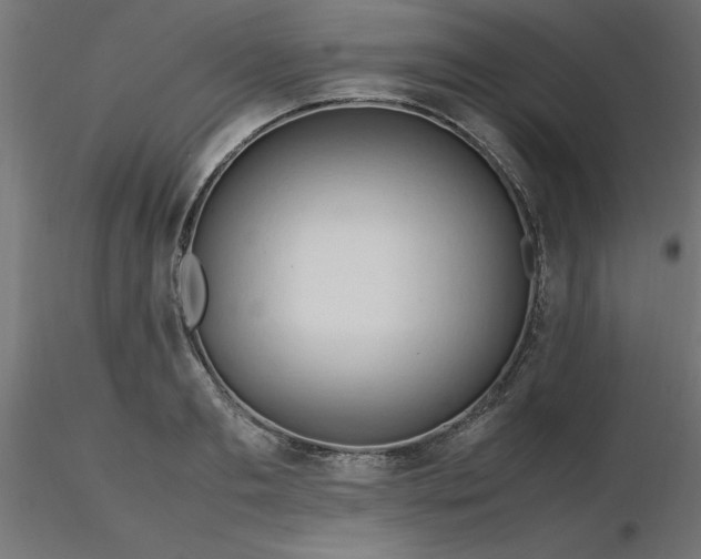 X0000116660893200912291635