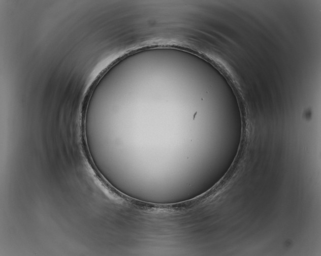 X0000116660894200912291635