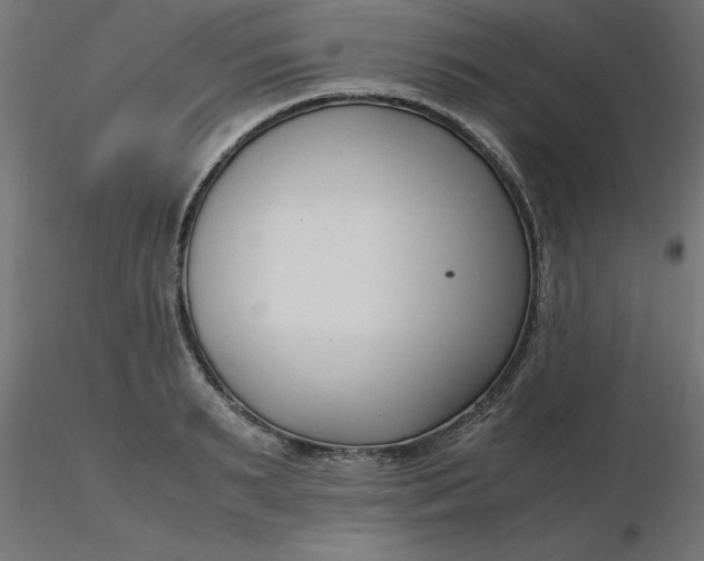 X0000116660895200912291635