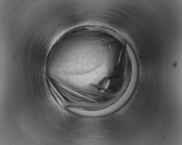 X0000116660896200912291635