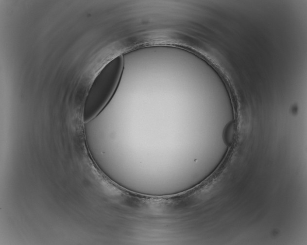 X0000116660897200912291635