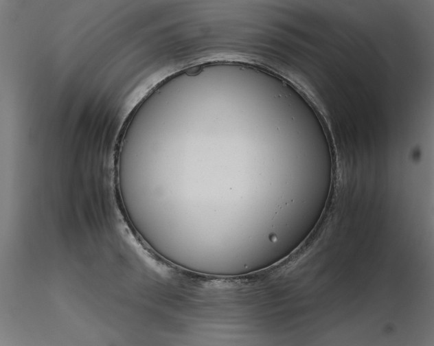 X0000116660898200912291635