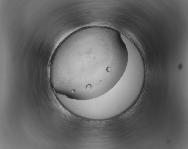 X0000116660900200912291635